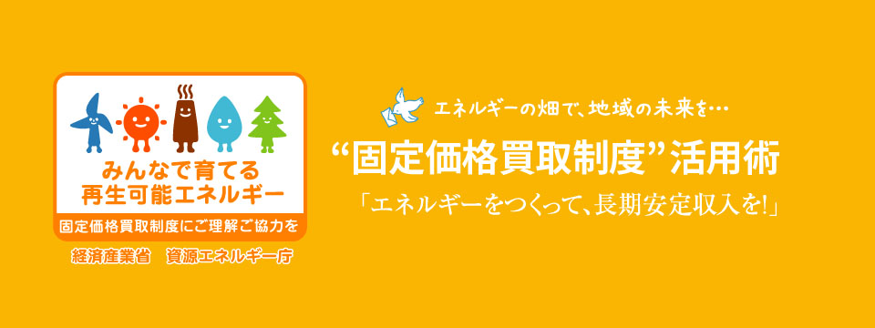 固定価格買取制度 活用術